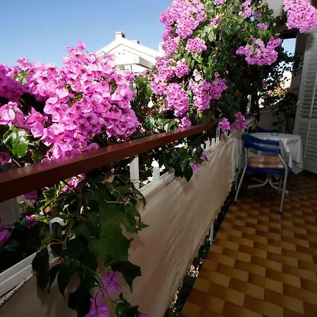 Grozdic Apartman *